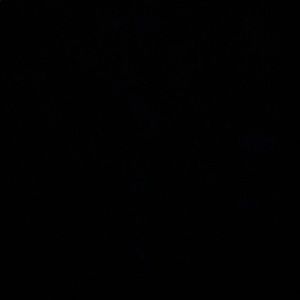 Meet your Posher, Aidan